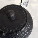 Théière en Fonte Japonaise <br> Iwachu Kikko 900ml