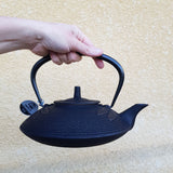 Théière Japonaise en Fonte