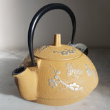 Théière en Fonte Made In Japan