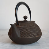 Théière en Fonte Iwachu