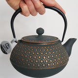 Théière Fonte Iwachu Kikko Bronze