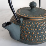 Théière en Fonte Japonaise <br> Iwachu Kikko 900ml