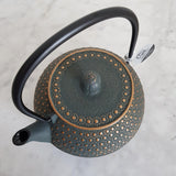 Théière en Fonte Iwachu
