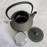 Théière en Fonte Japonaise émaillée