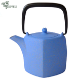 Théière en Fonte Japonaise Moderne <br> Wazuqu Genji 450ml
