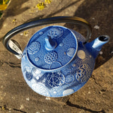 Théière Mari Asobi Bleue