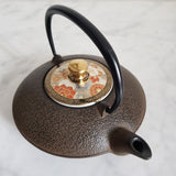 Théière en Fonte de Qualité