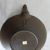 Théière en Fonte Oigen <br> Sai Hanazume 410ml