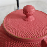 Théière en Fonte Rose <br> Iwachu Arare 900ml
