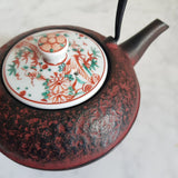 Théière Fonte Couvercle Porcelaine