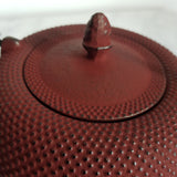 Théière en Fonte Rouille <br> Iwachu Nanbu Arare 1L