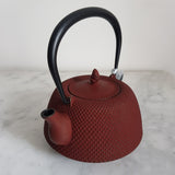 Théière en Fonte Rouille <br> Iwachu Nanbu Arare 1L