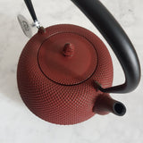 Théière en Fonte Rouille <br> Iwachu Nanbu Arare 1L
