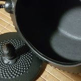 Théière en Fonte Chinoise <br> Induction 750ml