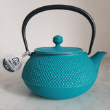 Théière Iwachu Arare Turquoise