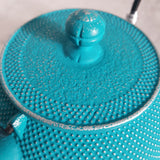 Théière en Fonte Bleu Turquoise <br> Iwachu Arare 900ml