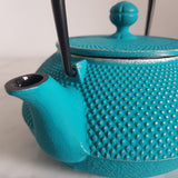 Théière en Fonte Bleu Turquoise <br> Iwachu Arare 900ml
