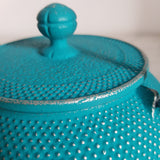 Théière en Fonte Bleu Turquoise <br> Iwachu Arare 900ml