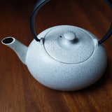Théière en Fonte Made In Japan