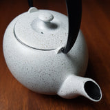 Théière en Fonte Japonaise Blanche <br> Wazuqu Fuku 550ml