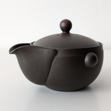 Hohin Kyusu Tokoname