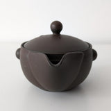 Kyusu Hohin