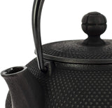 Théière en Fonte Iwachu <br> Arare 600ml