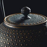 Théière en Fonte Japonaise <br> Iwachu Kikko 900ml