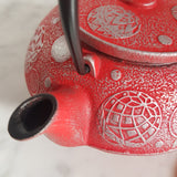 Théière en Fonte Japonaise <br> Iwachu Mari Asobi 650ml