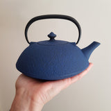 Théière Japonaise en Fonte Bleue <br> Wazuqu Muji 650ml