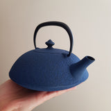 Théière Japonaise en Fonte Bleue <br> Wazuqu Muji 650ml