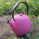 Théière en fonte Wazuqu