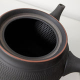 Théière Japonaise pour Gaucher <br> Tokoname 350ml