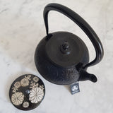 Théière Japonaise <br> Tetsubin Oitomi 800ml
