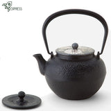 Théière Japonaise Tetsubin