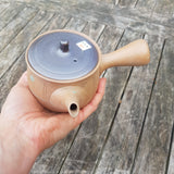 Théière du Japon <br> Banko 350ml