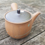 Théière du Japon <br> Banko 350ml