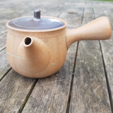 Théière Artisanale Japonaise