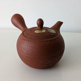 Théière Traditionnelle Japonaise