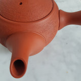 Théière Japonaise Traditionnelle <br> Tokoname 500ml