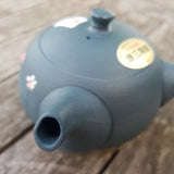 Théière Japonaise Bleu-Vert <br> Tokoname 200ml