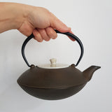 Théière en Fonte Japonaise 900ml