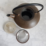 Théière en Fonte Japonaise émaillée