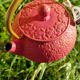 Théière en Fonte Iwachu <br> Sakura 650ml