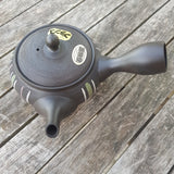Kyusu Tokoname