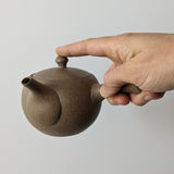 Théière Japonaise Tokoname-Yaki <br> 240-280ml