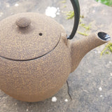 théière en fonte japonaise émaillée