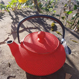 théière iwachu rouge
