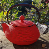 théière en fonte iwachu rouge
