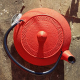 Théière en Fonte Japonaise Rouge <br> Iwachu Arare 600ml